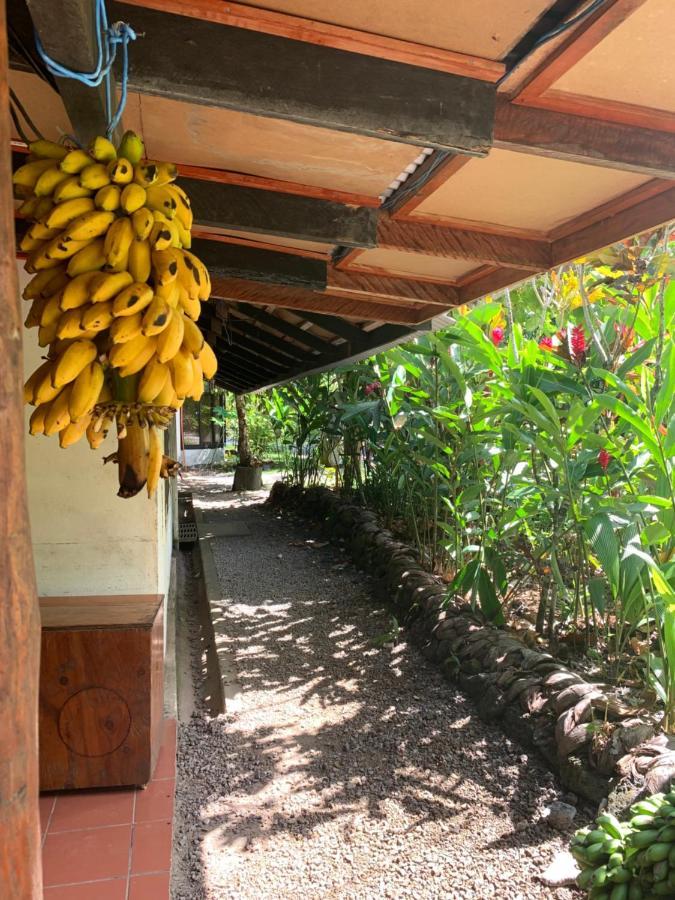 Lusia'S Lagoon Chalets Salelologa Exterior photo